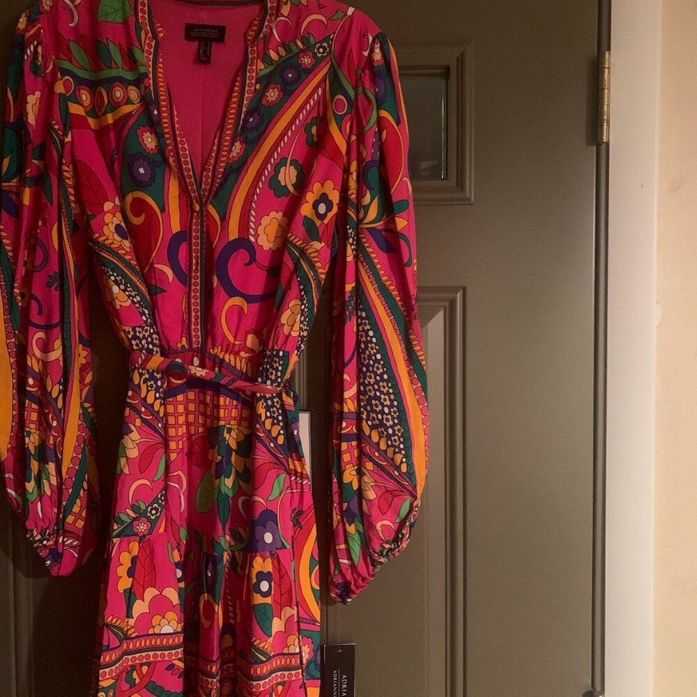 Adrianna Papell ShirtDress - Picture 5 of 11
